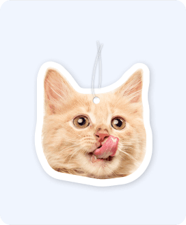 Thumbnail of Expert Crop 1