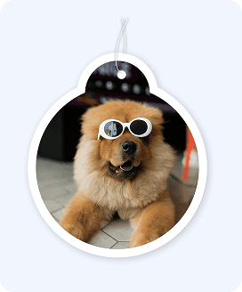 Thumbnail of Expert Crop 4