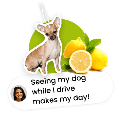 Dog satisfaction guaranteed